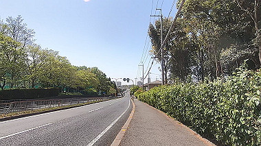 gx017778.mp4_snapshot_00.17_thumb.jpg