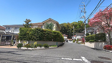 gx017778.mp4_snapshot_00.38_thumb.jpg