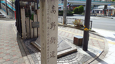 p4135365_thumb.jpg
