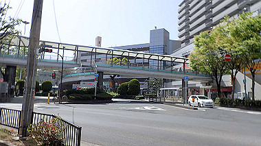 p4135367_thumb.jpg