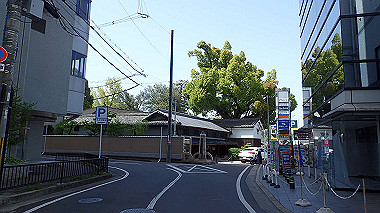 p4135368_thumb.jpg