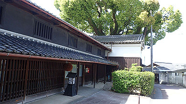 p4135371_thumb.jpg