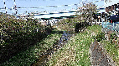 p4135388_thumb.jpg