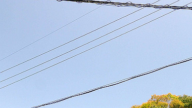 p4135397_thumb.jpg