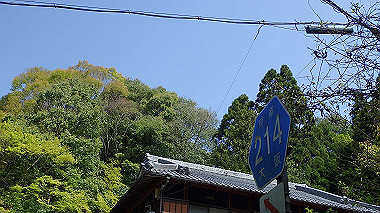 p4135398_thumb.jpg
