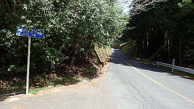 p4135399_thumb.jpg
