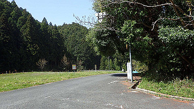 p4135400_thumb.jpg