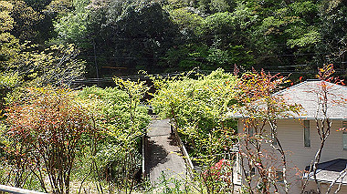 p4135406_thumb.jpg