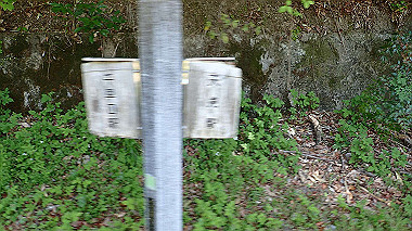 p4135409_thumb.jpg