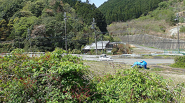 p4135411_thumb.jpg