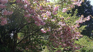 p4135418_thumb.jpg