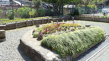 p4135423_thumb.jpg