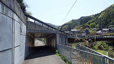 p4135433_thumb.jpg