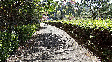 p4135438_thumb.jpg