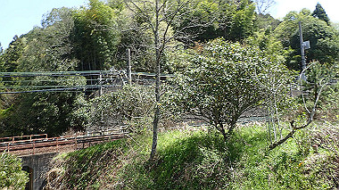 p4135439_thumb.jpg