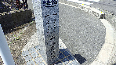 p4135459_thumb.jpg