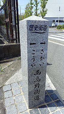 p4135460_thumb.jpg