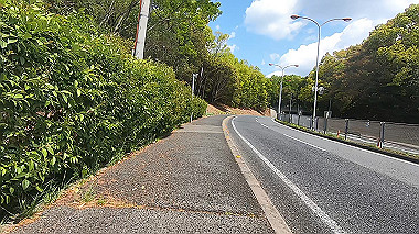 gx017779.mp4_snapshot_00.04_thumb.jpg