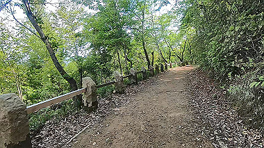 gx017781.mp4_snapshot_01.35_thumb.jpg