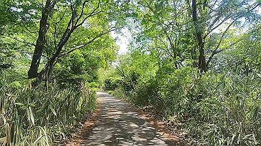 gx017782.mp4_snapshot_00.50_thumb.jpg