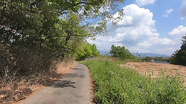gx017782.mp4_snapshot_01.02_thumb.jpg