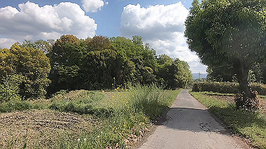 gx017783.mp4_snapshot_00.18_thumb.jpg