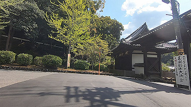 gx017787.mp4_snapshot_00.09_thumb.jpg