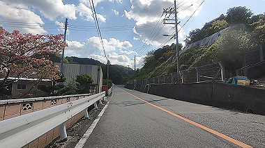 gx017793.mp4_snapshot_00.21_thumb.jpg