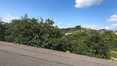 gx017796.mp4_snapshot_00.02_thumb.jpg