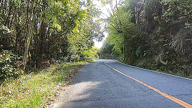 gx017798.mp4_snapshot_03.52_thumb.jpg