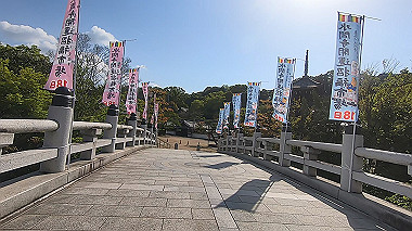gx017804.mp4_snapshot_00.56_thumb.jpg