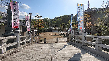 gx017804.mp4_snapshot_01.09_thumb.jpg