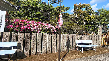 gx017805.mp4_snapshot_00.29_thumb.jpg