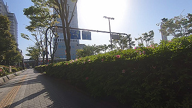 gx017813.mp4_snapshot_00.21_thumb.jpg