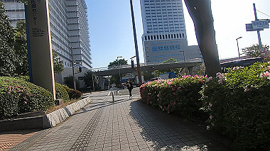 gx017813.mp4_snapshot_00.35_thumb.jpg