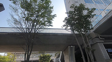 gx017814.mp4_snapshot_00.04_thumb.jpg