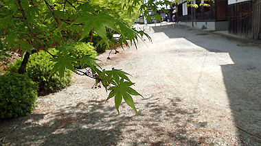 p4175470_thumb.jpg