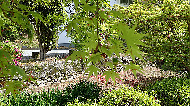 p4175471_thumb.jpg