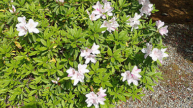 p4175476_thumb.jpg