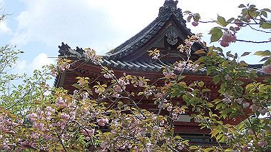 p4175485_thumb.jpg