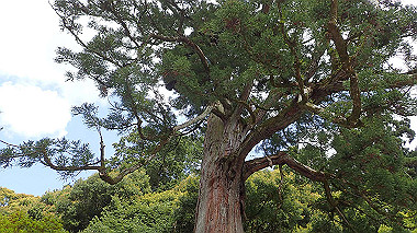p4175490_thumb.jpg
