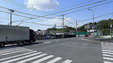 p4175495_thumb.jpg