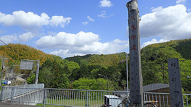 p4175496_thumb.jpg