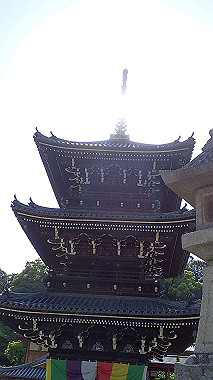 p4175504_thumb.jpg