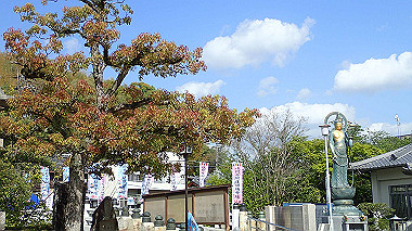 p4175508_thumb.jpg