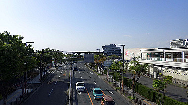 p4175515_thumb.jpg