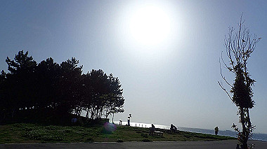 p4175522_thumb.jpg