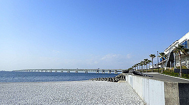 p4175525_thumb.jpg