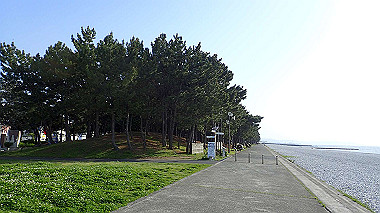 p4175526_thumb.jpg