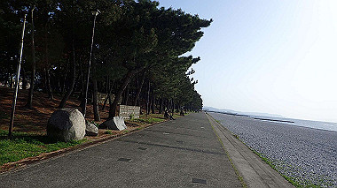 p4175529_thumb.jpg